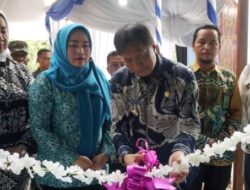Pj Bupati Barut Resmikan Balai Kesenian Tingang Tampuk Jariangau