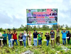 Dinas Pertanian Barut panen bersama : semangka tanpa biji di Desa Kemawen