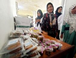 BKKBN Kembangkan Program Pemberdayaan Ekonomi Kelompok UPPKA