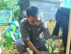 Pj Bupati Secara Simbolis Lakukan Penyerahan 1.600 Bibit Tanaman Cabai Untuk Petani di Murung Raya