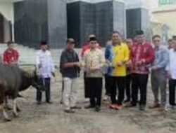 Pj Bupati Serahkan Secara Simbolis Hewan Kurban Berupa Sapi Untuk Masyarakat Murung Raya