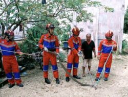 Bahayakan Keselamatan Warga, Disdamkarmat Barut Evakuasi King Kobra