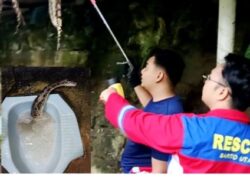 Disdamkarmat Evakuasi Ular Dari Rumah Warga