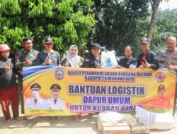 Dina Maulidah Serahkan Bantuan Logistik untuk Korban Banjir