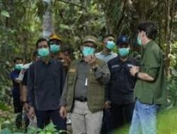Kunjungi Yayasan Kalaweit Indonesia, Pj Bupati Barut Tegaskan Dukungan Konservasi Alam Kalimantan