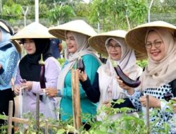 TP PKK Ikuti Lomba di Ajang Rakerda dan Refreshing Kader PKK Kalteng