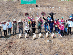 Pemkab Mura Dukung Swasembada Pangan