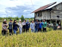 Dewan Apresiasi Petani Trinsing : Keberhasilan Panen Raya Padi Hasil Kerja Keras dan Kolaborasi