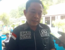 Wakil Ketua I DPRD Barut: Pengawasan Investasi Harus Komprehensif, Tak Hanya Administratif