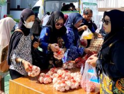 DKPP Barito Utara Gelar GPM Dua Hari Bersama Provinsi dan Bulog Untuk Stabilisasi Harga Pangan