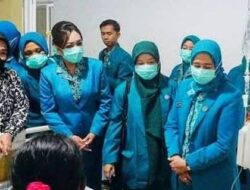 Ketua TP PKK Apresiasi Dedikasi Tenaga Kesehatan RSUD Muara Teweh