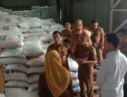 Bupati Shalahuddin: Stok Beras Barito Utara Aman, Cukup untuk Beberapa Bulan ke Depan