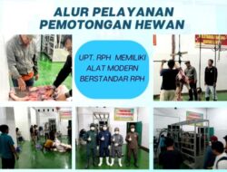 RPH Barito Utara Hadirkan Daging Higienis dan Sesuai Syariat, Pendaftaran Bisa Lewat WA
