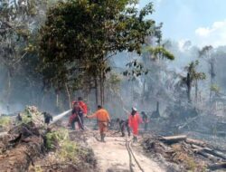 Dua Titik Karhutla Melanda Barito Utara, Hampir 2 Hektare Lahan Terbakar