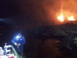 Kebakaran 1,54 Hektare di Trinsing Diredam, Api Belum Sepenuhnya Padam