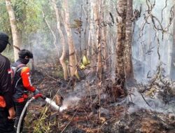 Dua Titik Kebakaran Ditangani, BPBD Barito Utara Imau Warga Waspada Api
